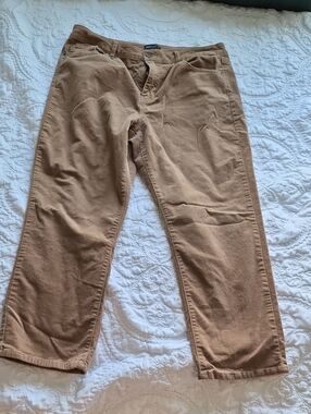 Jones New York Women's Tan Straight-Leg Trousers